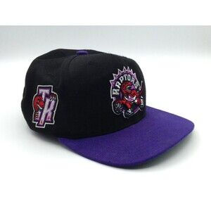 Toronto Raptors Cap Hat Snap Back Black Purple Mitchell & Ness Dino 3D Logo NBA